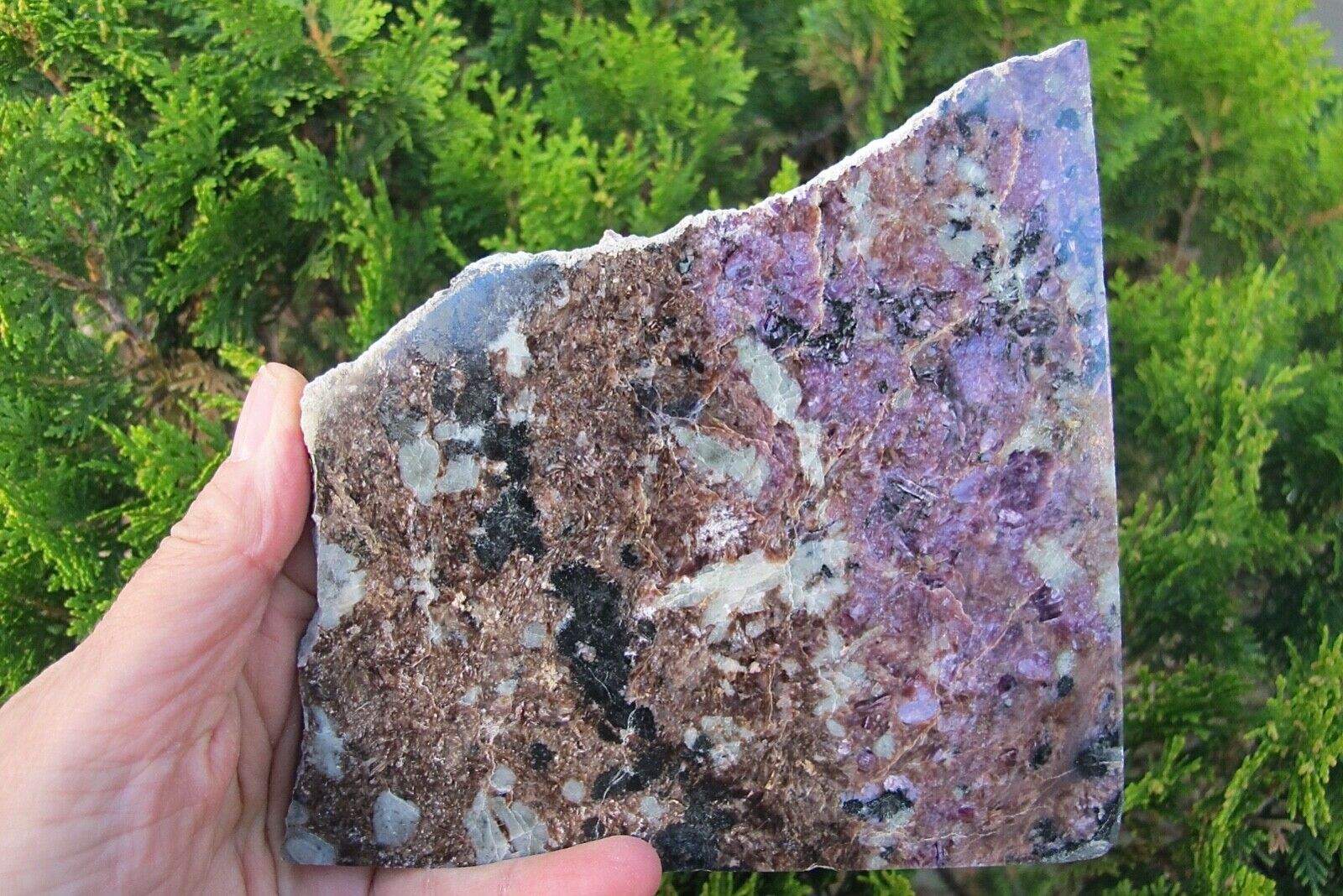 Charoite Healing Large Crystal semi Polished Russian Rare purple Brown 330g 