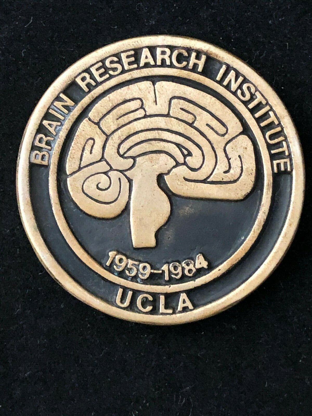 Vintage UCLA Brain Research Institute Medallion Two Sided Heavy - Plated Bronze?