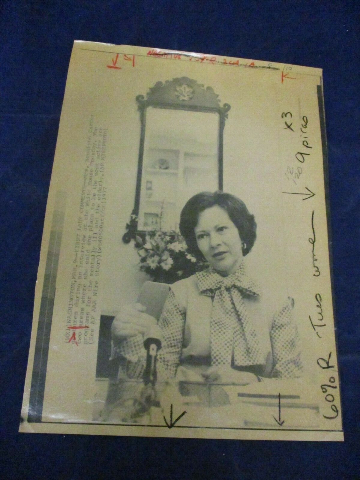 1977 Rosalynn Carter White House interview mental ill Vintage Wire Press Photo