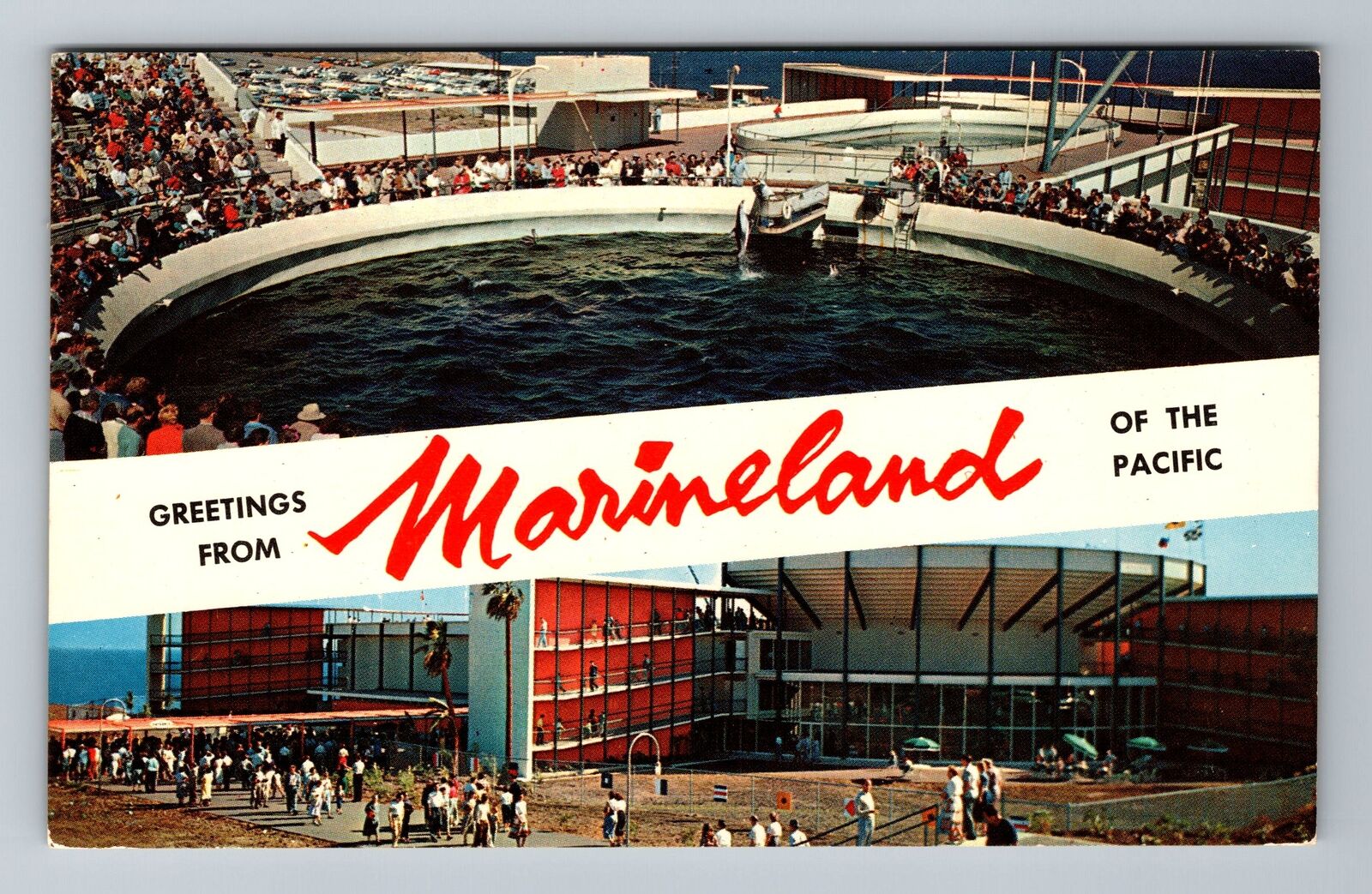 Marineland CA-California, Scenic Banner Greetings, Vintage Postcard