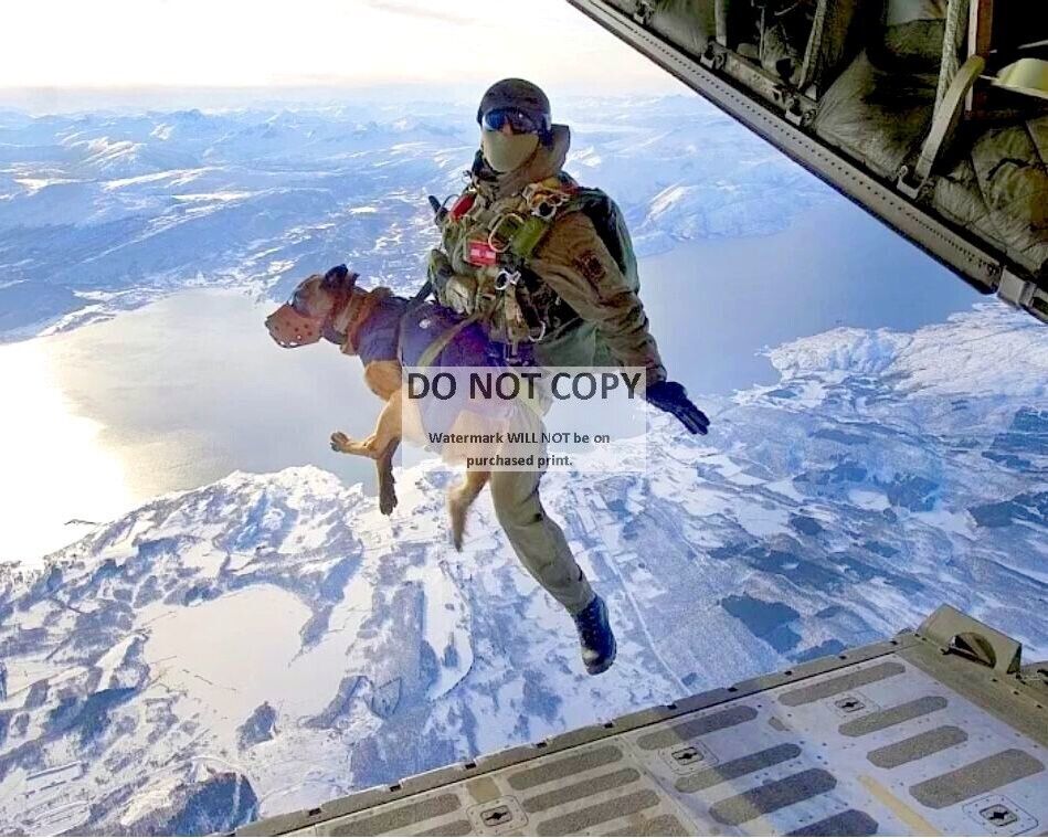 NAVY SEAL JUMPS FROM PLANE WITH K-9 FRIEND DOG - 8X10 PHOTO (BB-727)