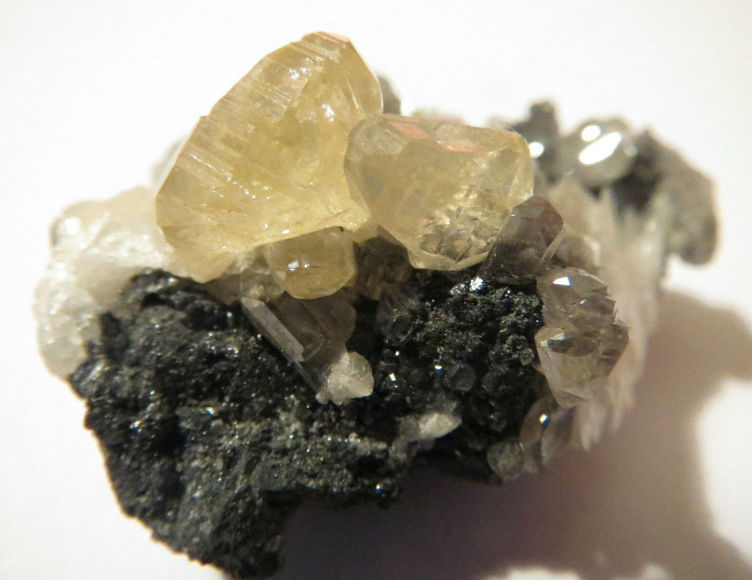 CERUSSITE W/ BARITE BLADES ON GALENA GORGEOUS RARE NATURAL UV REACTIVE CRYSTAL