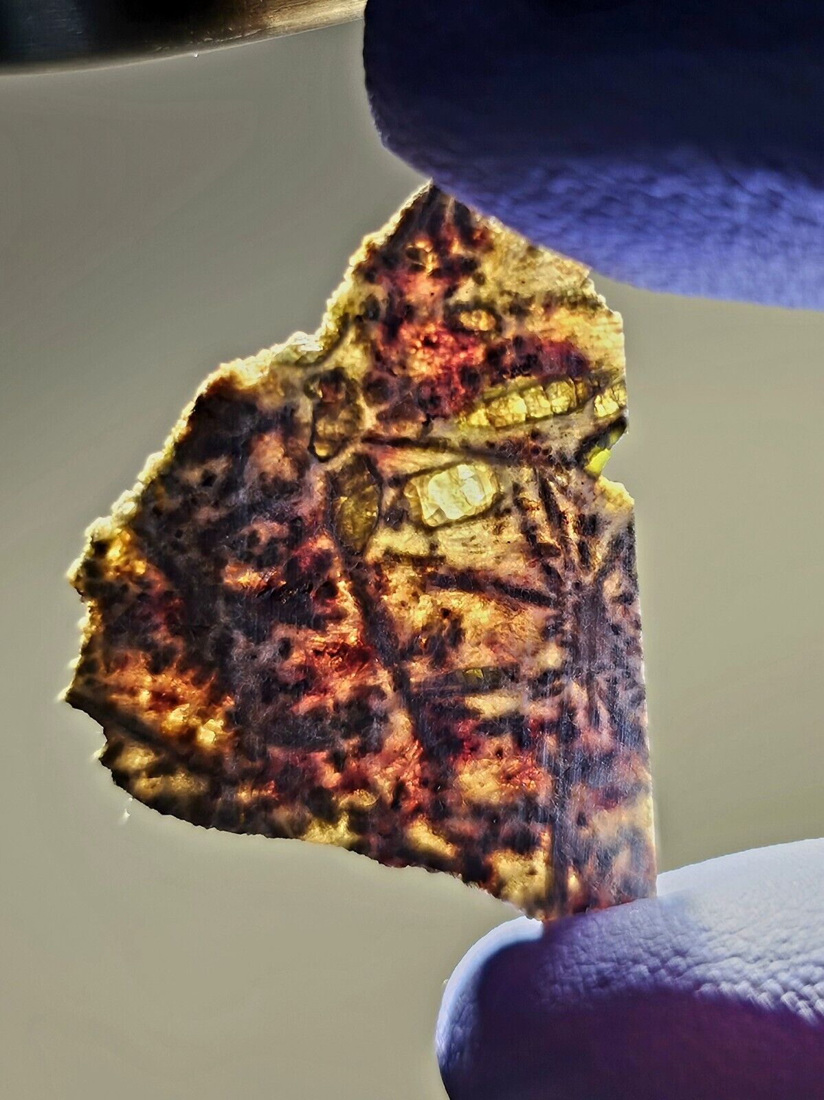 Meteorite**Erg Chech 002, Achon. Ung**0.789 gram, OLDEST MAGMA IN SOLAR SYSTEM