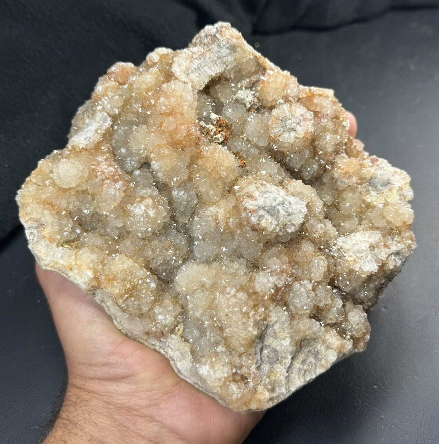 Quartz Crystal Druse on Lace Agate | Missouri