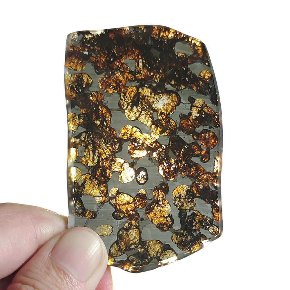 32.4g Seymchan Pallasite Meteorite slice  From Russian - CA139