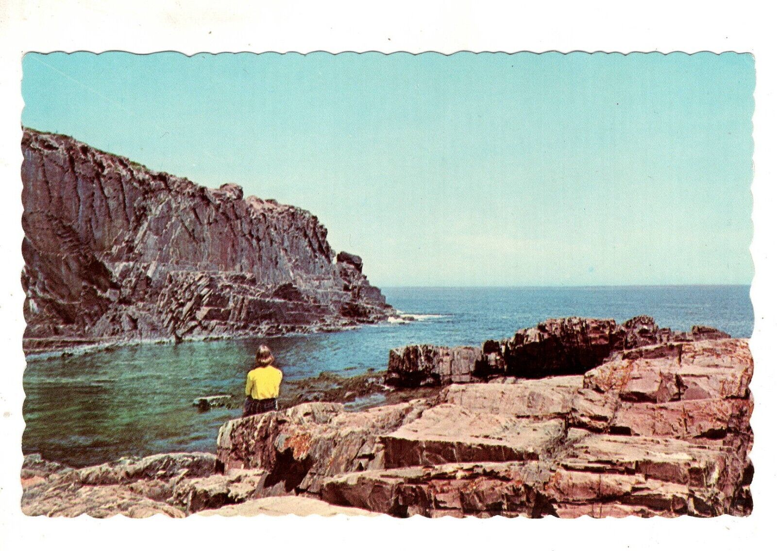 Ogunquit Maine Bald Head Cliff Ocean Vintage Postcard