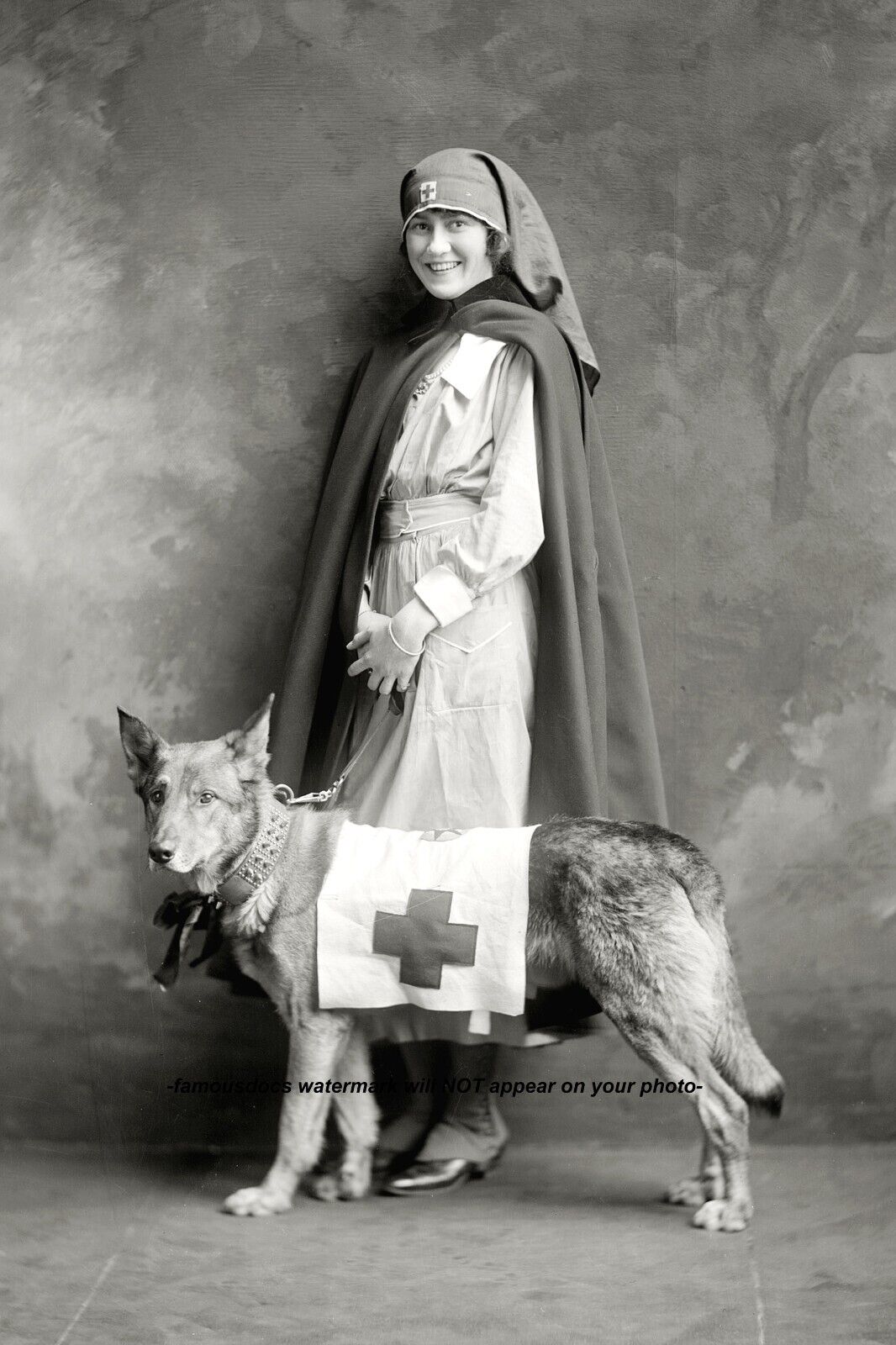 World War I Nurse Rescue Dog PHOTO Red Cross Mercy Dog, Comfort to Soldiers