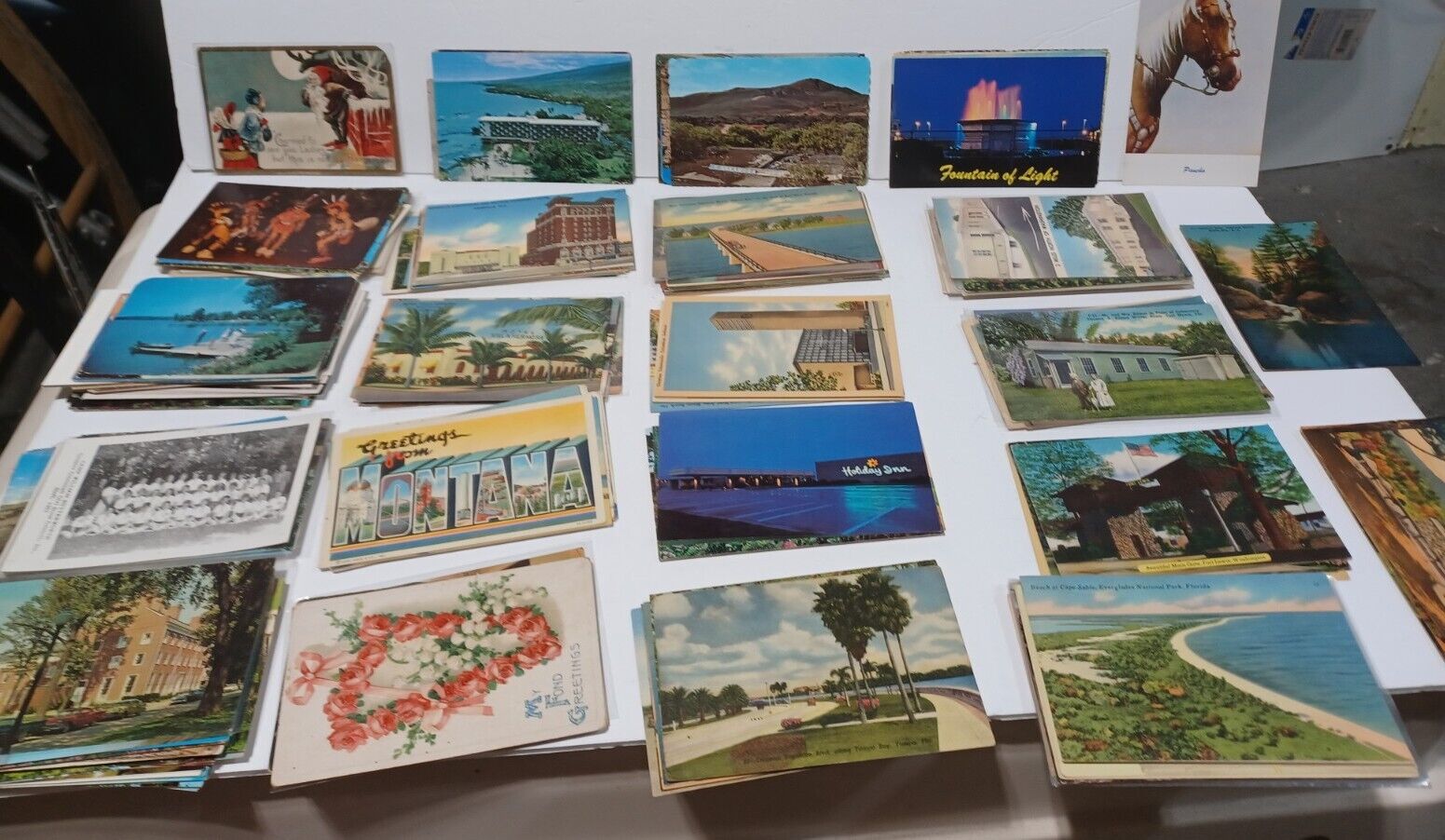 Lot Of 600+ Antique Vintage All Kinds Of Postcards
