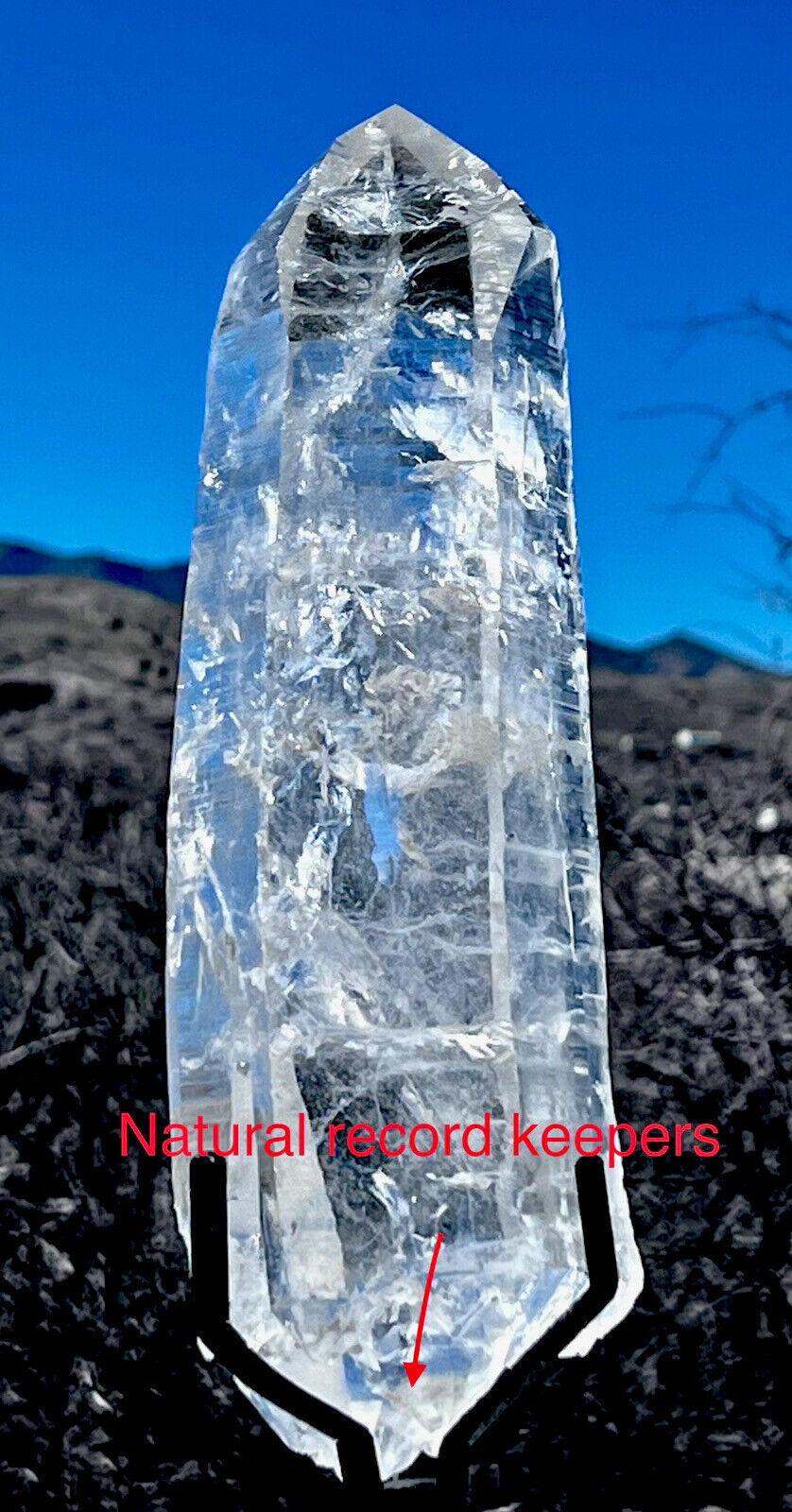 Rare LEMURIAN LASER SEED QUARTZ AAA+ QUARTZ CRYSTAL POINT DT RECORD KEEPERS “ET”