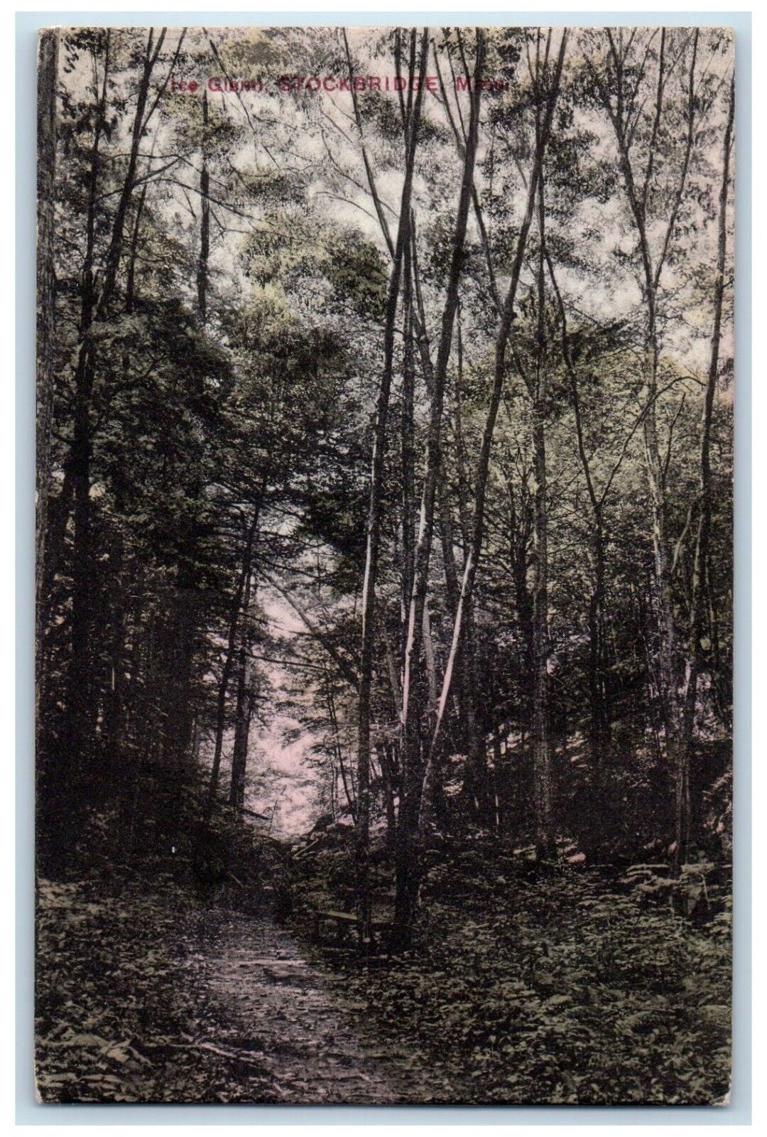 1908 Ice Glen Forest Stockbridge Massachusetts MA Posted Antique Postcard