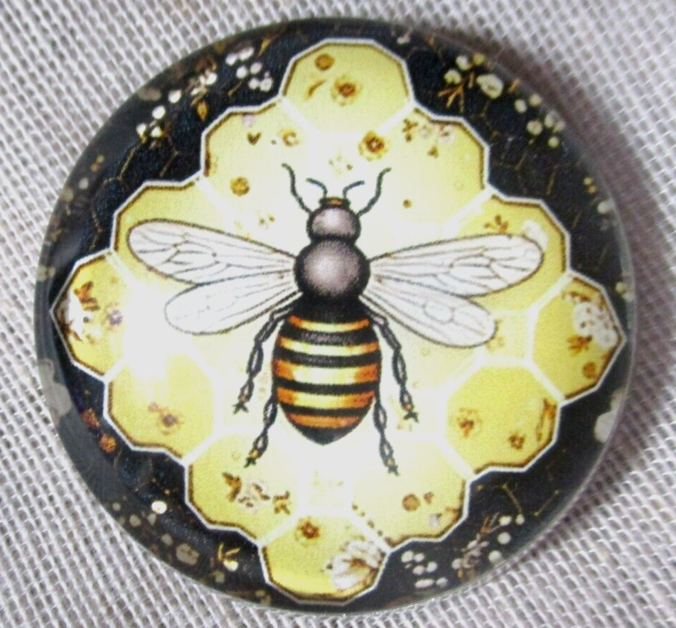 NEW LG GLASS DOME PIC BUTTON OF A HONEY BEE ON HONEYCOMB W BLACK FRAME  30mm