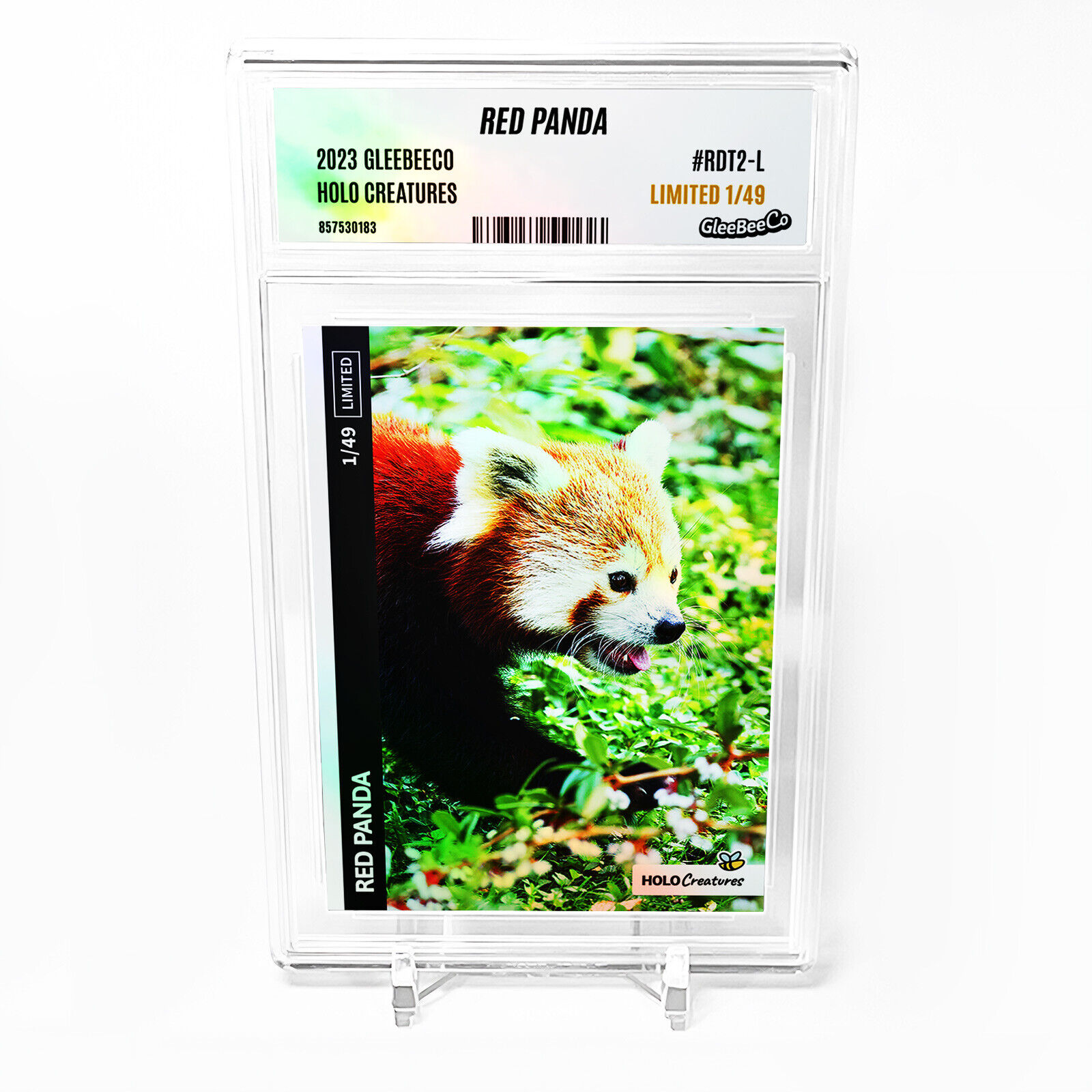 RED PANDA Holographic Card 2023 GleeBeeCo On the Prowl #RDT2-L LIMITED to /49