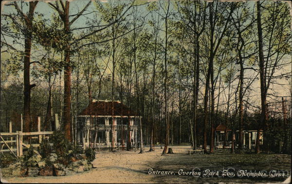 1910 Memphis,TN Entrance,Overton Park Zoo Shelby County Tennessee Postcard