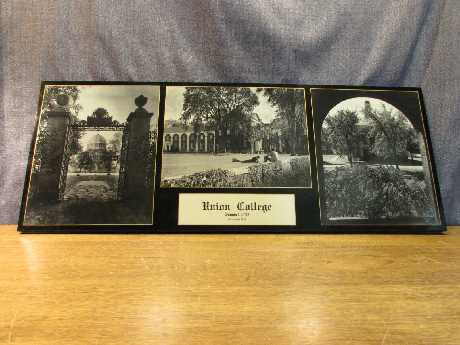 Vintage Union College Plaque Sign Wall Hanging Picture Display Schenectady     
