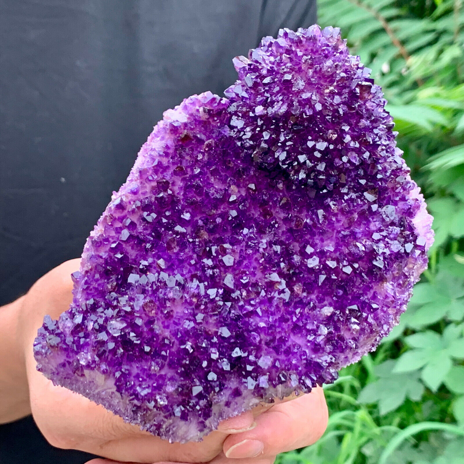 1.9LB New PurpleQuartz Crystal Cluster Discovered Species Restoration healing