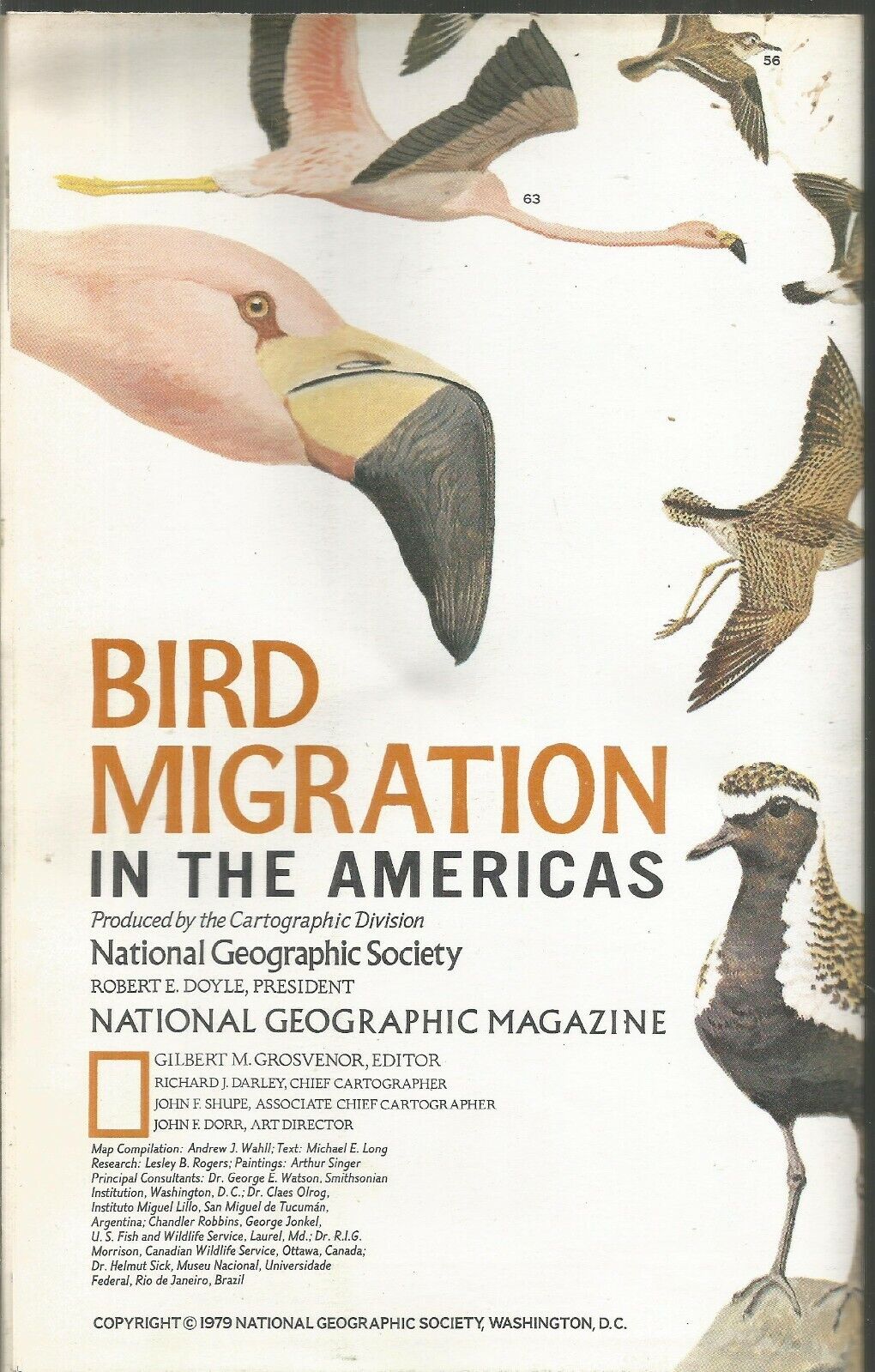 Bird Migration In The Americas August 1979 National Geographic Map/Supplement