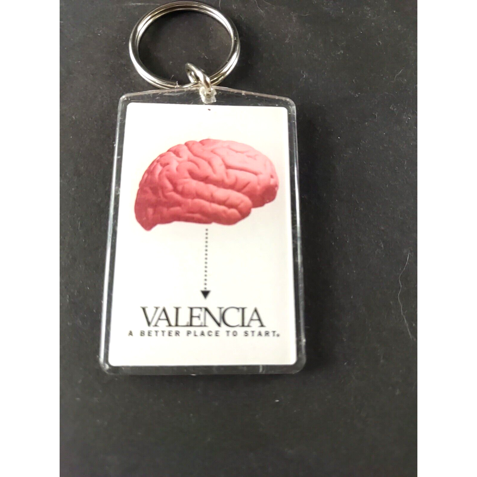 Valencia A Better Place To Start Acrylic Keychain Human Brain