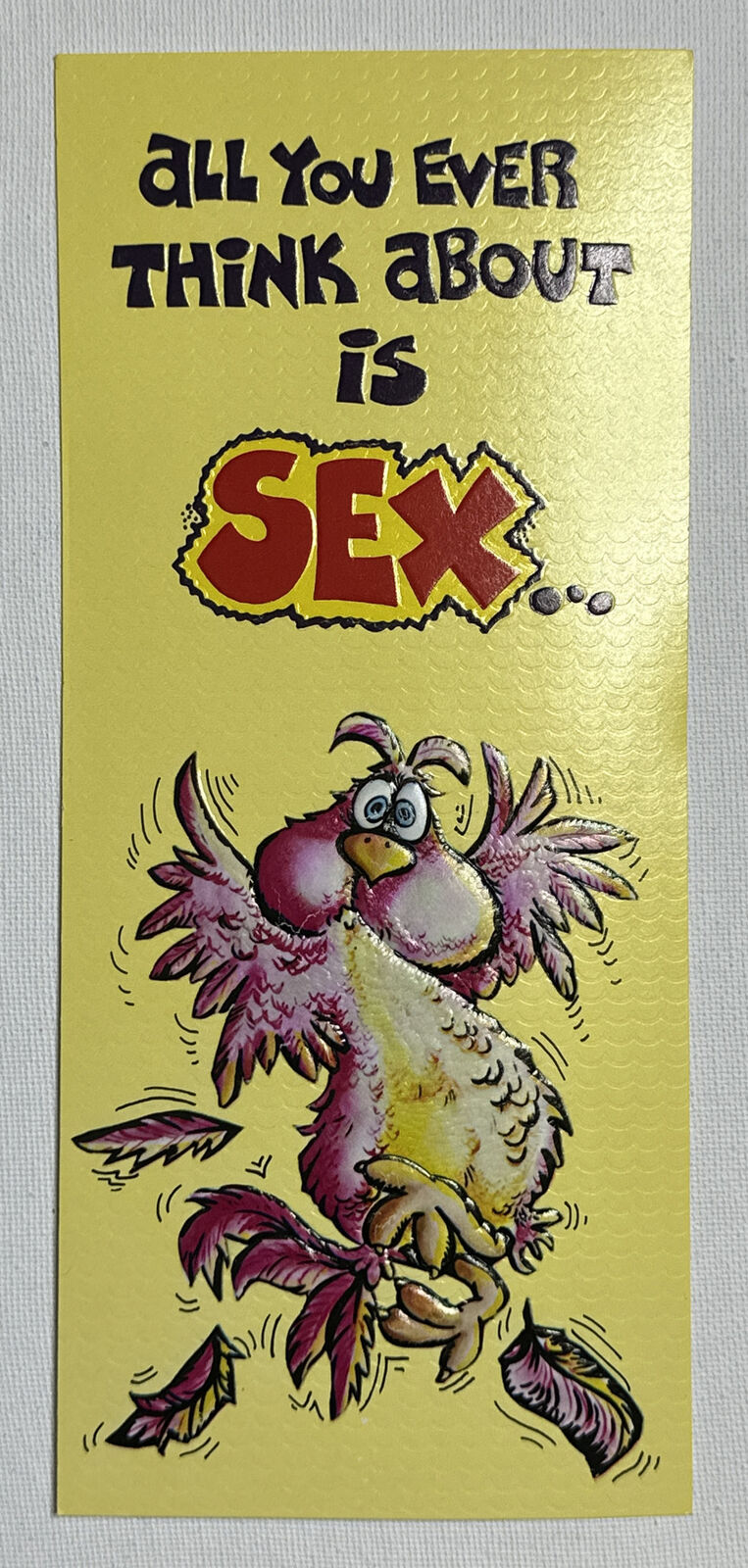 Vintage 1970's Funny Risque Naughty Adult Humor Greeting Card  Chicago ILL USA