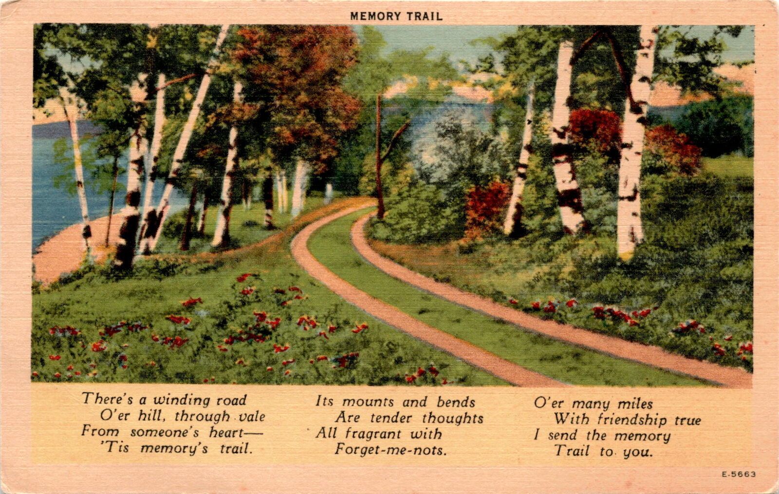 Memory Trail  Forgetmenots  American Art Post Card Co  Eastern Photo L Postcard