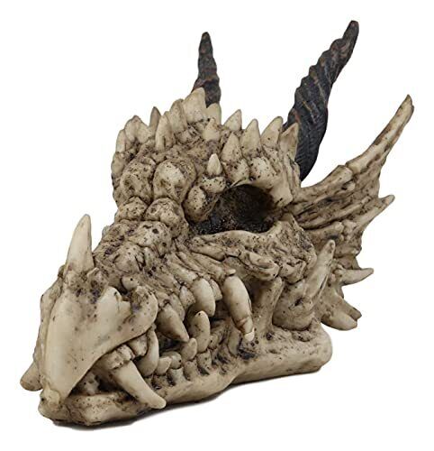 	Ebros Jurassic Beowulf Elder Dragon Head Skull Realistic Fossil Statue 7.75 L	
