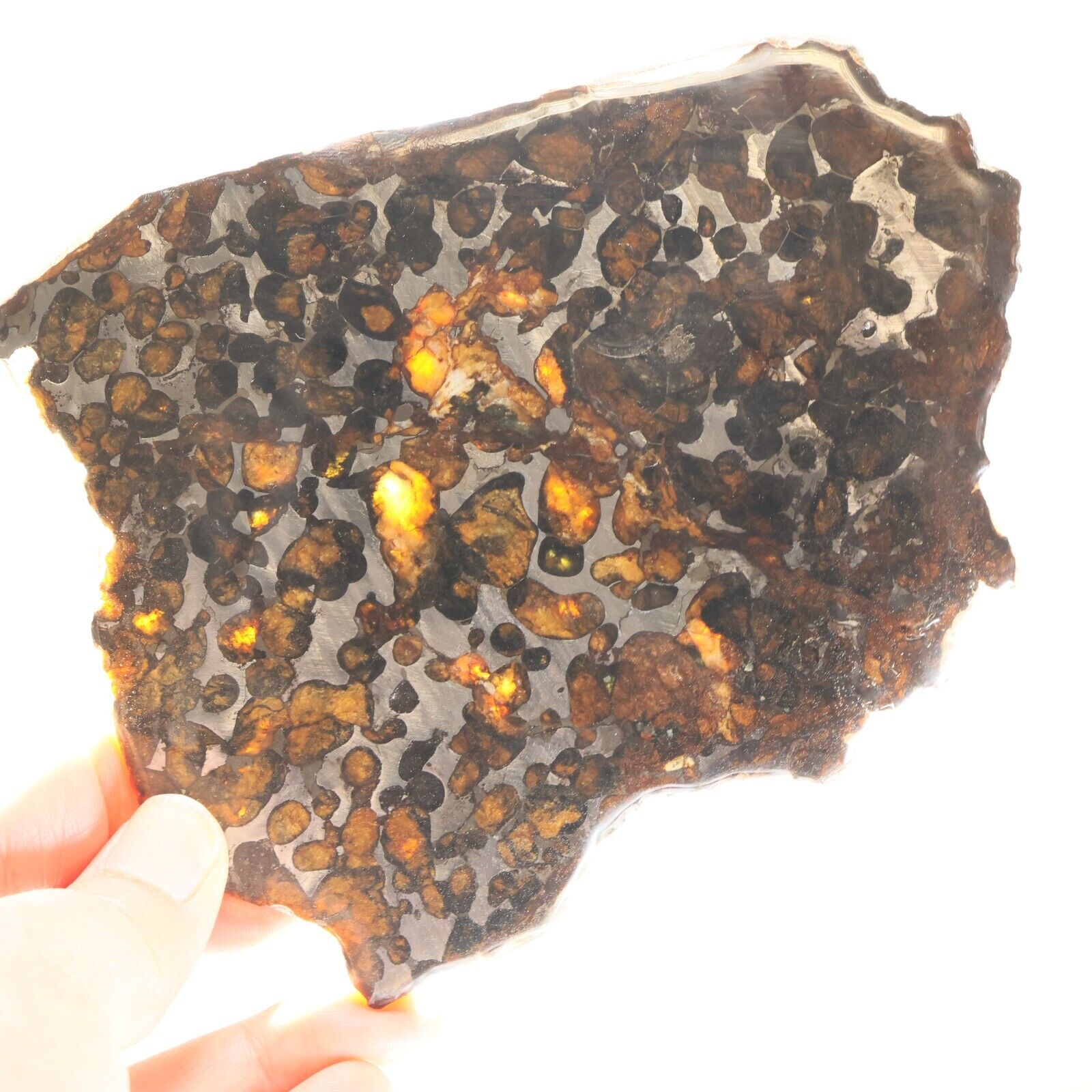 123g Natural SERICHO Pallasite olive meteorite slice - from Kenya F91
