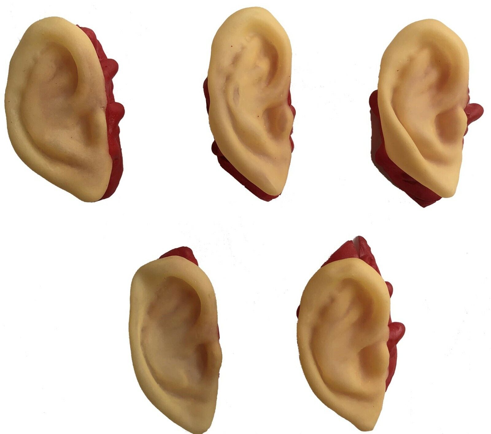 5pc Bloody Body Part Fake HUMAN SEVERED EARS Zombie Hunter Halloween Horror Prop