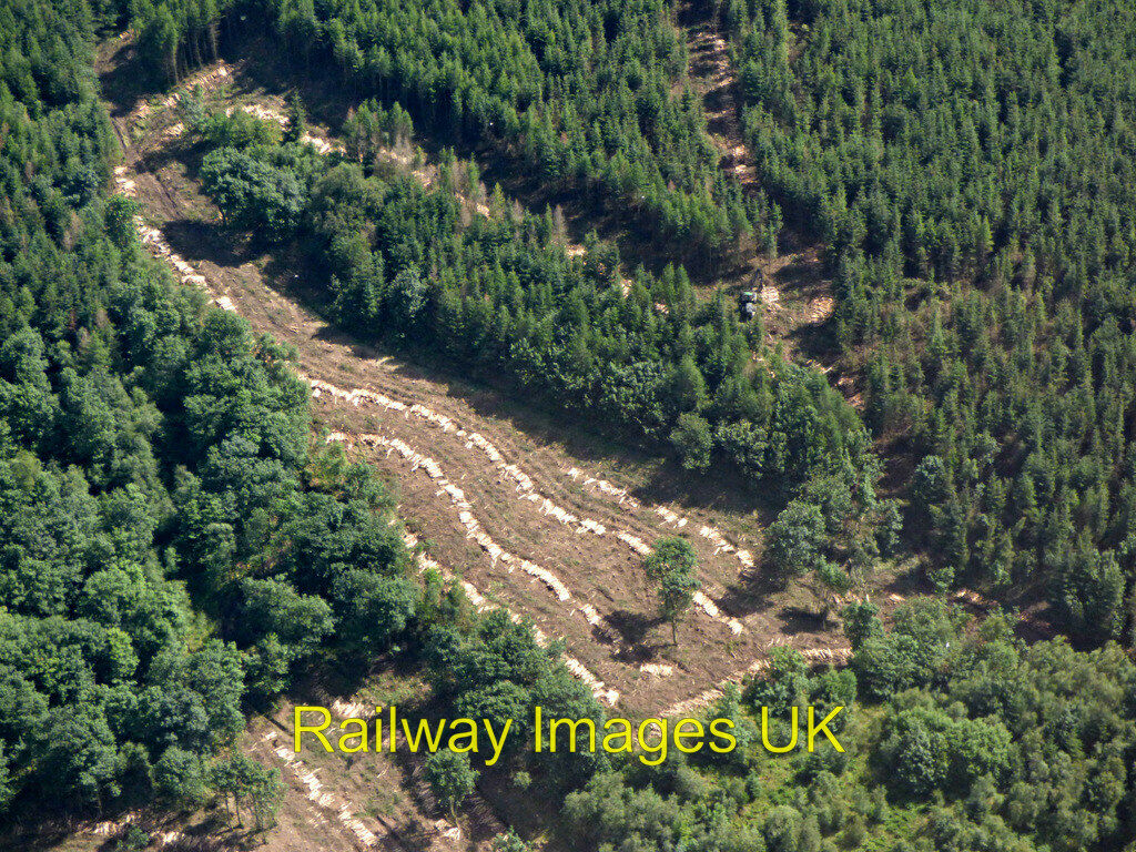 Aerial Photo 6x4 Deforestation in Skiff Wood  c2019