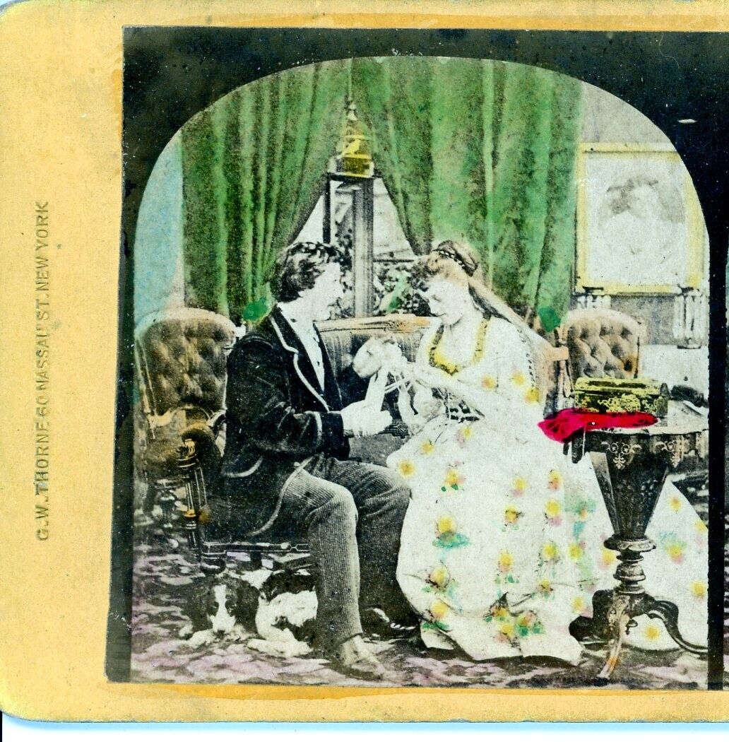 The Entanglement - G.W. Thorpe Victorian Genre Stereoview
