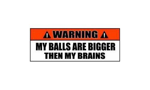 Warning Sign Stickers My Balls are Bigger then My Brains 2 PACK OWS 47
