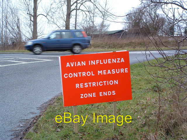 Photo 6x4 Avian Influenza (Bird Flu) Sign Coddenham Green Avian influenza c2007
