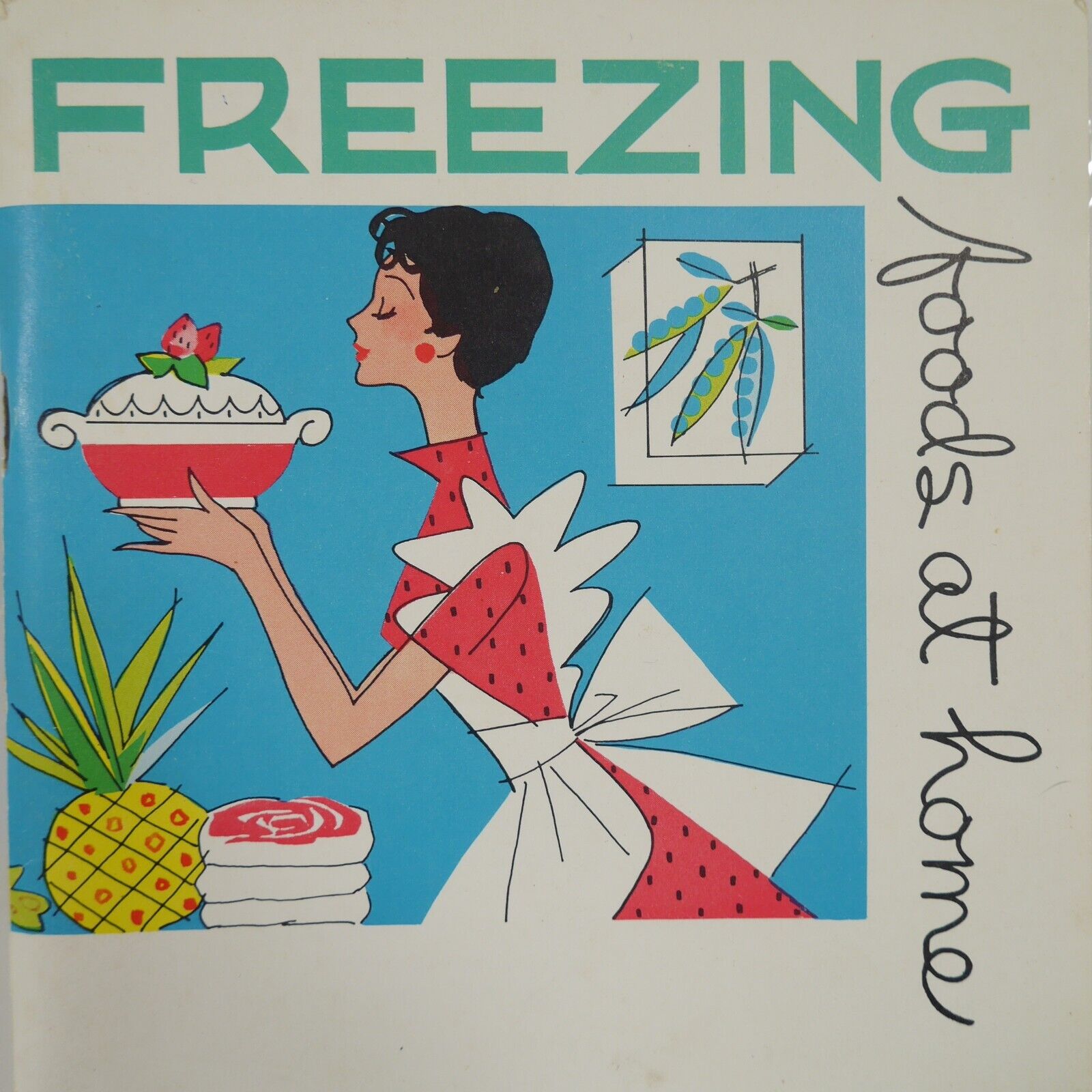 1963 Freezing Foods at  Home Vintage Recipe Food Instructional Cookbook