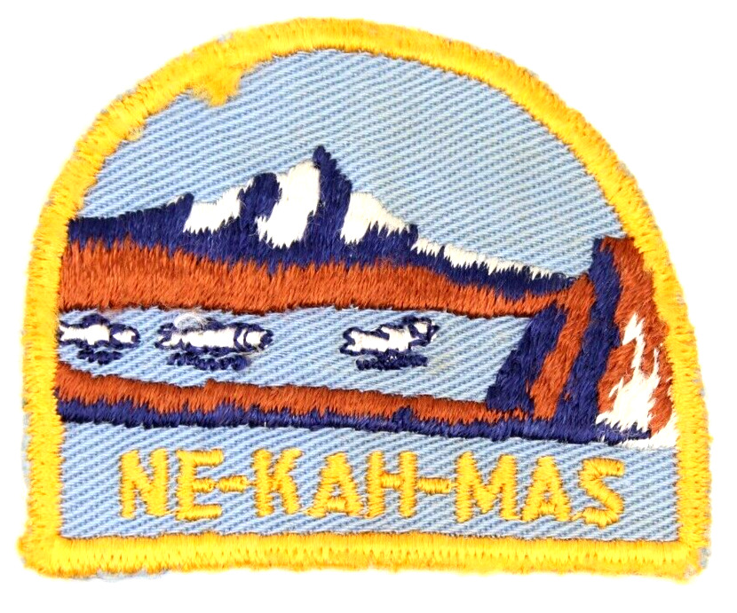 Vintage Ne-Kah-Mas District Columbia Pacific Council Patch Gauze Back OR WA BSA