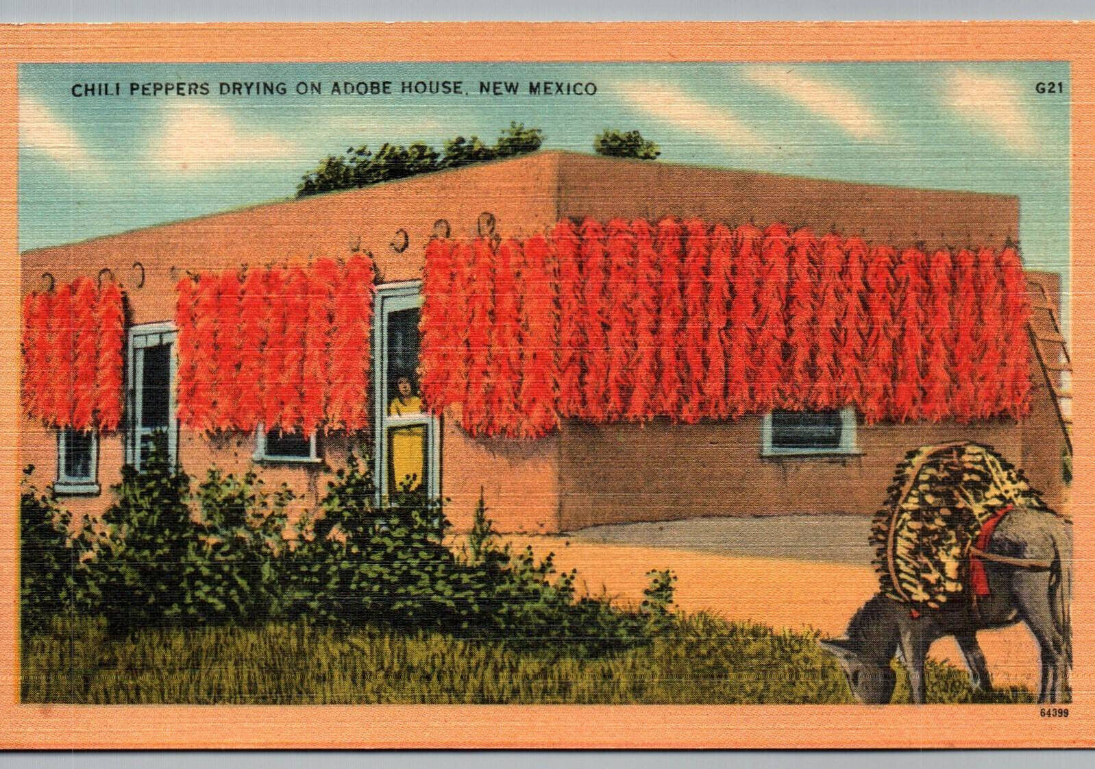 Postcard Native American Drying Chili Adobe House New Mexico Vintage Linen Card