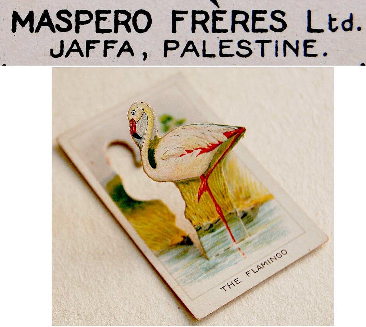 1920 PALESTINE Israel CIGARETTE POP UP CARD Lithograph FLAMINGO Tobacciana JAFFA