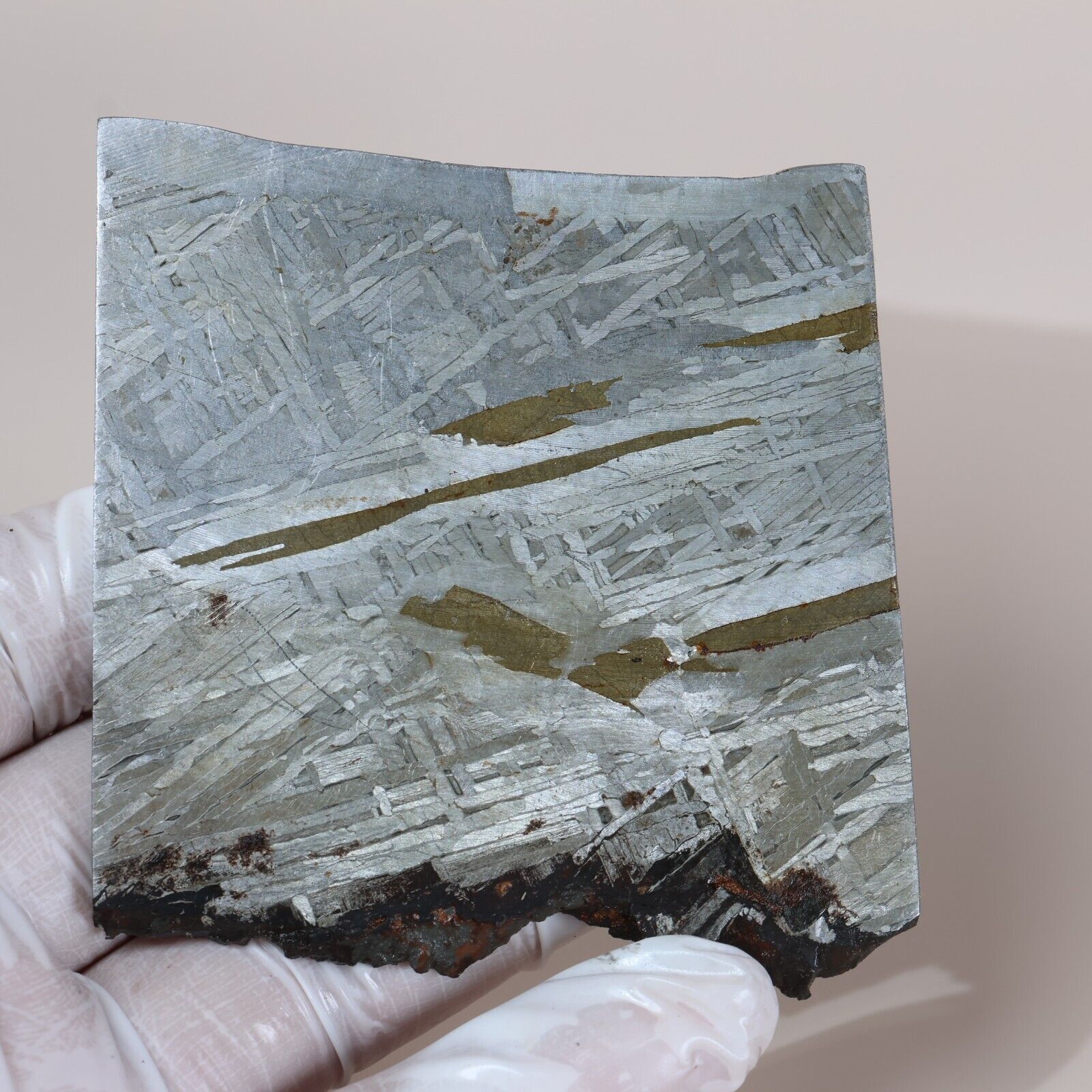 131g Muonionalusta meteorite,Natural meteorite slices,Collectibles,gift L26