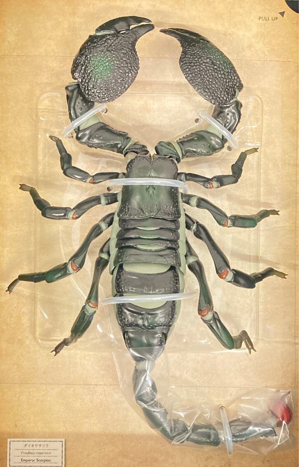 Kaiyodo Ribojio emperor scorpion Figure (total length of about 230mm ) 221020