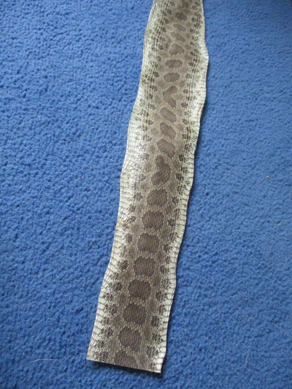 1 rattlesnake skin pieces Snake skin scraps pen blanks small wrap education G3