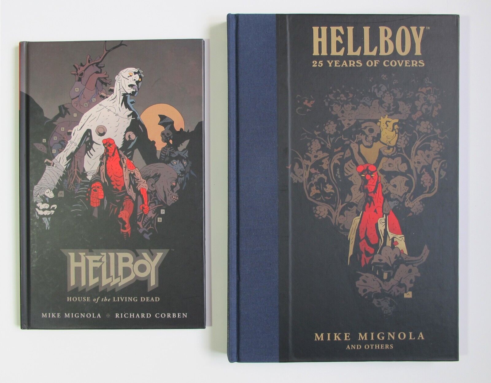 HELLBOY HC 25 YEARS OF COVERS + HOUSE OF THE LIVING DEAD CORBEN HARDCOVER