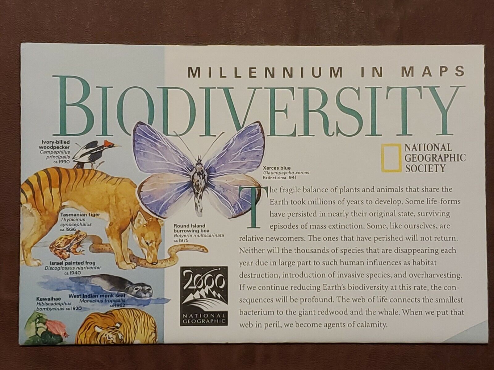 National Geographic / Map / MILLENIUM IN MAPS: BIODIVERSITY / February 1999