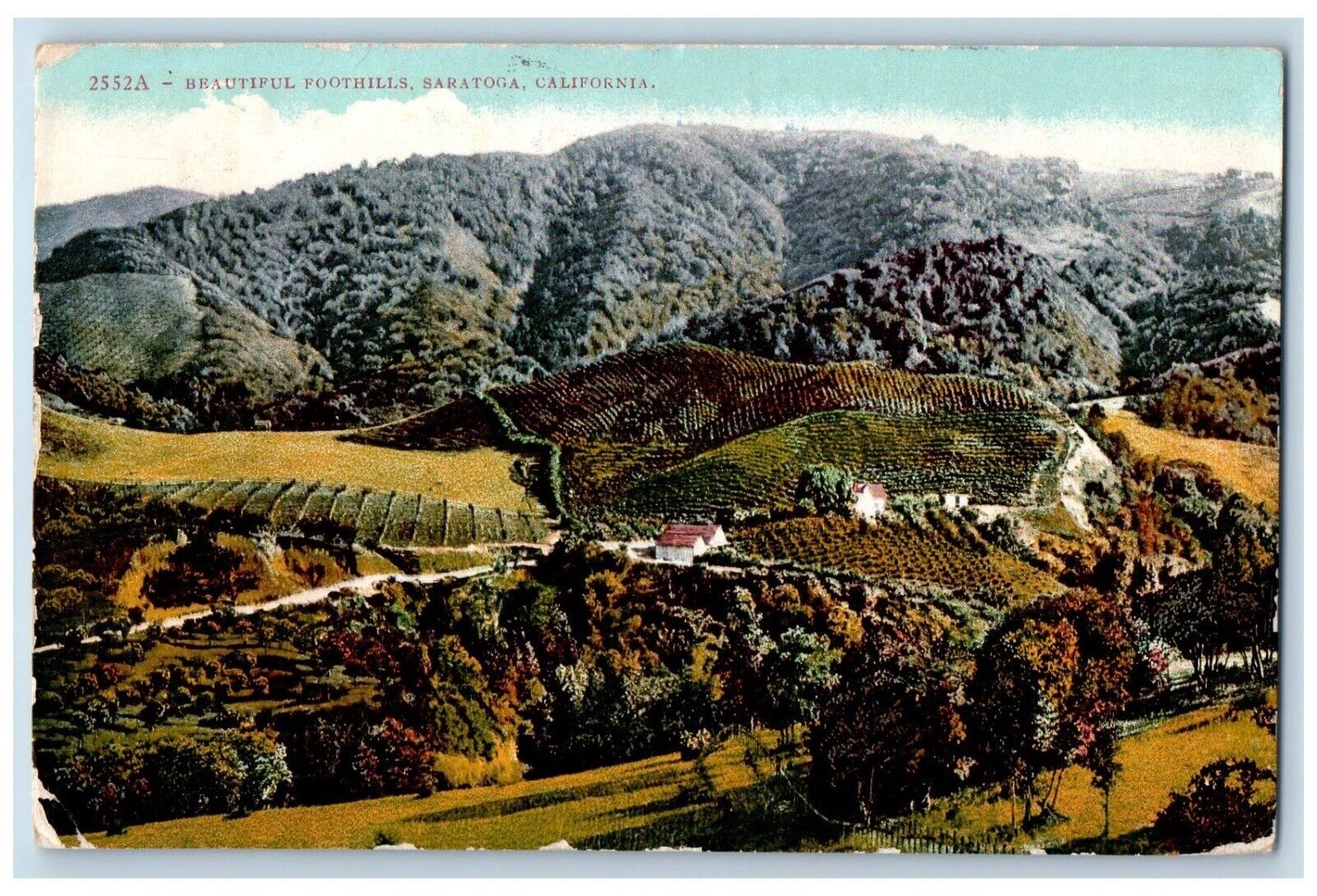 1911 Scenic View Aerial Foothils Saratoga California CA Vintage Antique Postcard