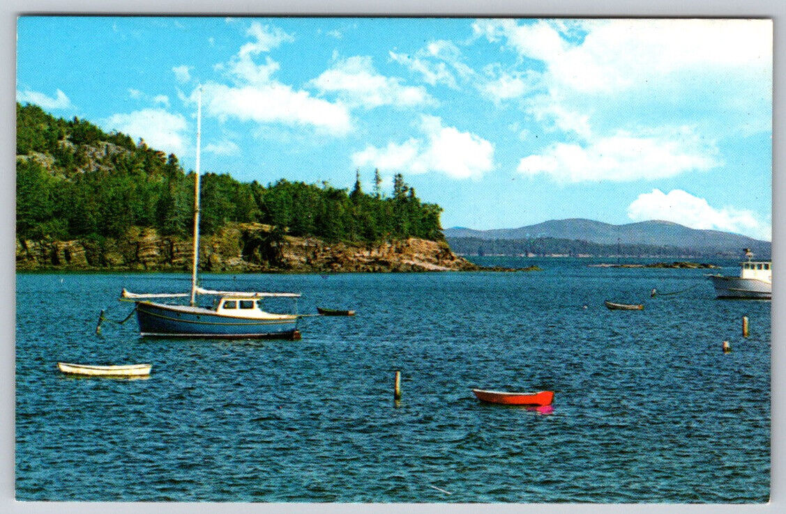 View From Town Landing Bar Harbor Maine ME Postcard VTG