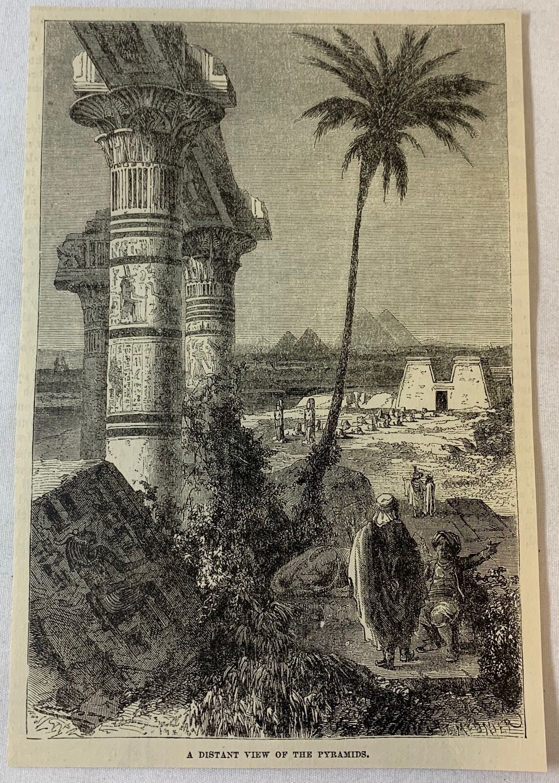 1877 magazine engraving ~ DISTANT VIEW OF THE PYRAMIDS Egypt
