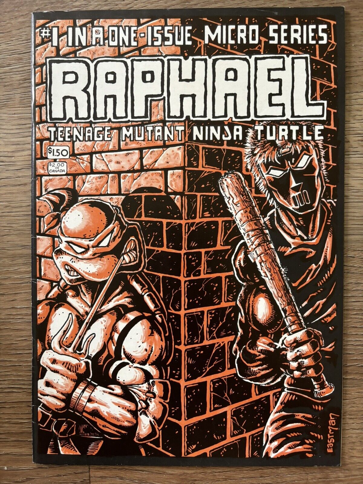 Raphael Teenage Mutant Ninja Turtles 1