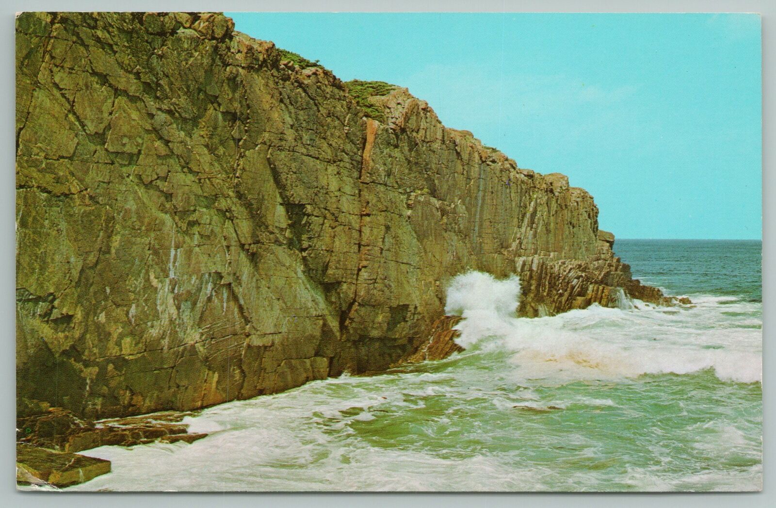 Ogunquit Maine~Bald Head Cliff Above Sea Level~Vintage Postcard