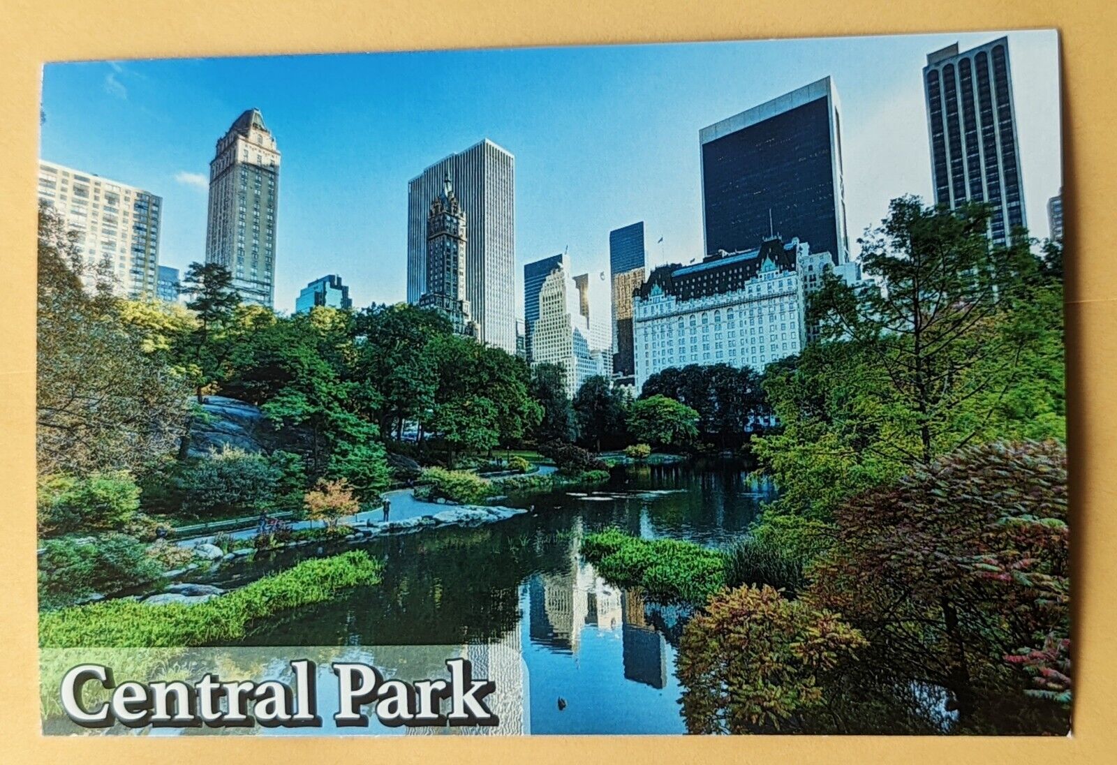 Postcard NY: Central Park, New York 