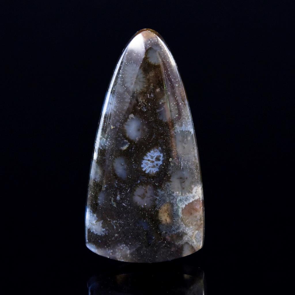Natural Agatized Fossil Coral Gem Cabochon with Flower Pattern Indonesia 6.97 g