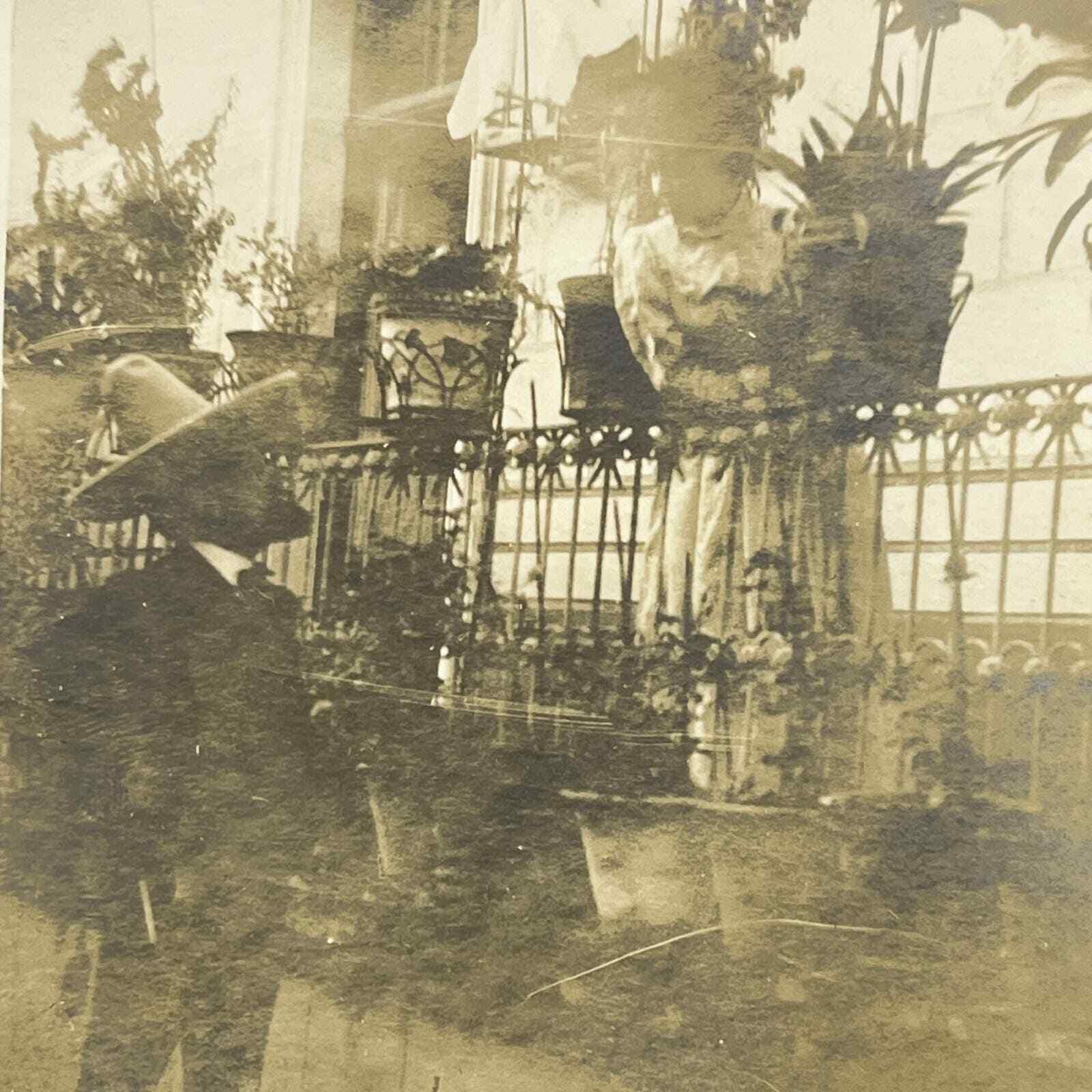 1903 Original Sepia Photograph Charro Flirting With Mexican Lady Mexico City AC7