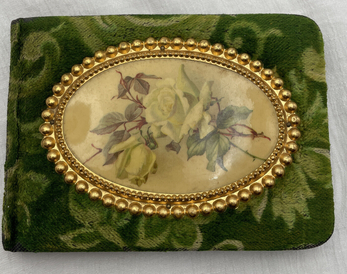 Victorian Antique Celluloid & Velvet Floral Autograph Memory Vintage Book Album