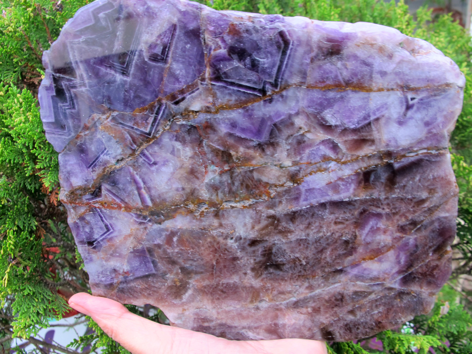 Amethyst Crystal Healing Natural purple Slice intuition Immune System Large 1 K