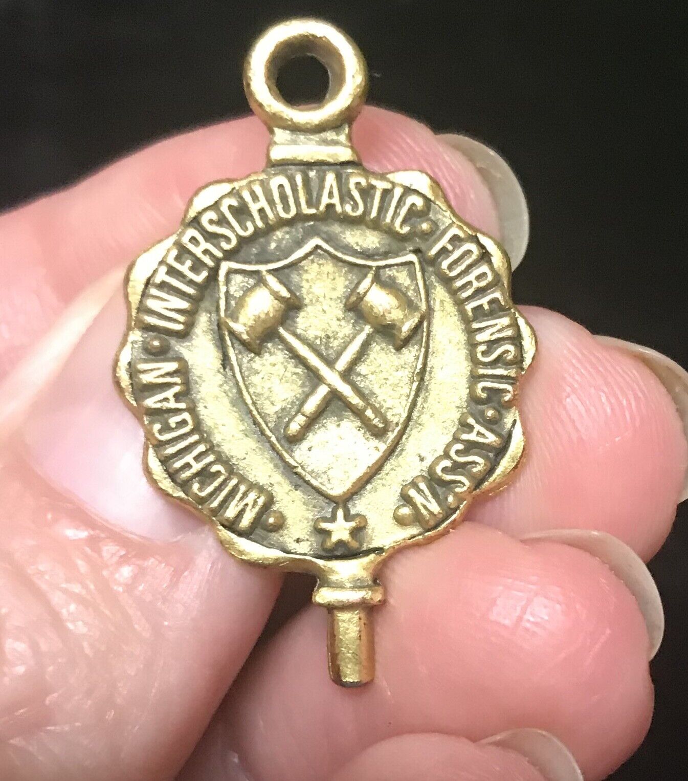 Michigan inter interscholastic Forensic Assn employee pin Award vintage 